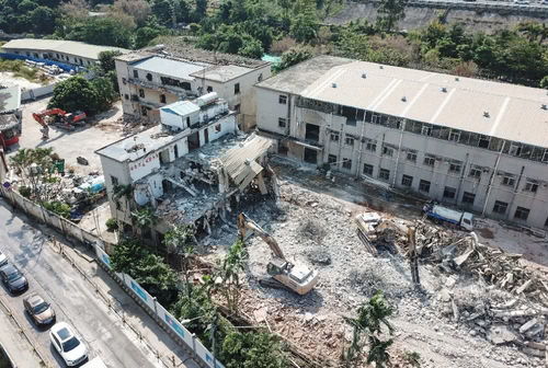 最新 大浪北路市政工程进度为