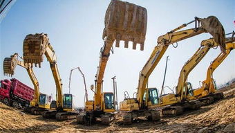 上海破获首例串通投标团伙案 市政工程招标中80家公司系同一人控制